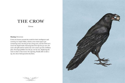 Ornithography