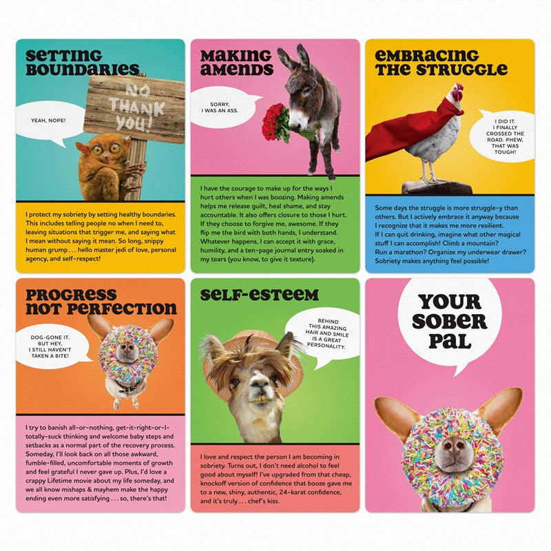 Your Sober Pal Sobriety Affirmation Deck
