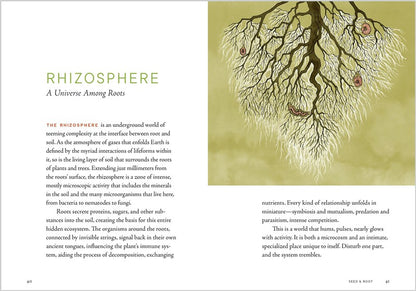 A Forest Language