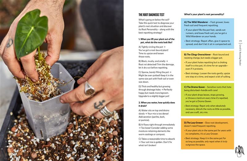 You're Overwatering It!