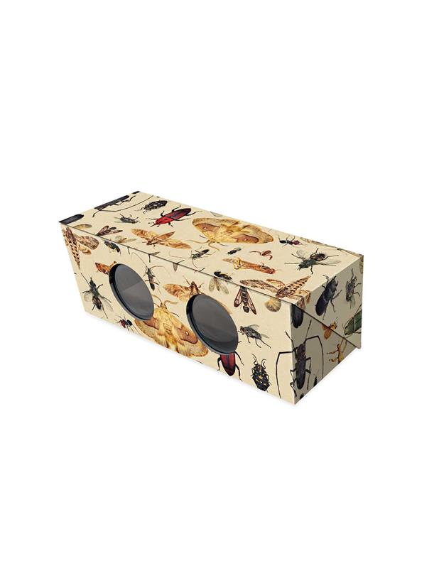 The Magnificent Box of Bugs and Insects
