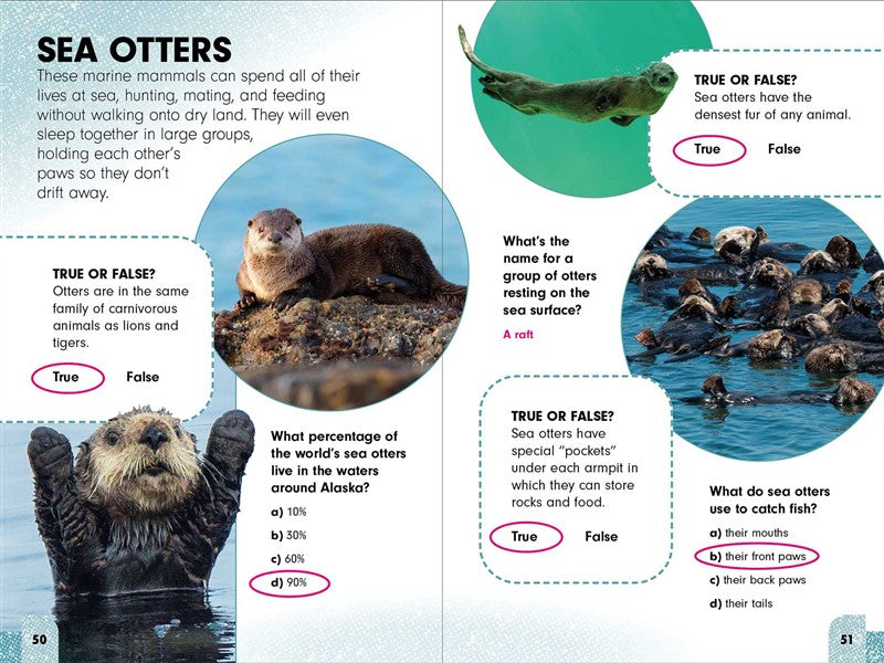 Sneaky Facts: Animal Kingdom