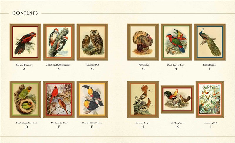 Museum Mosaics: Birds of the Smithsonian