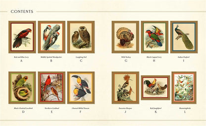 Museum Mosaics: Birds of the Smithsonian