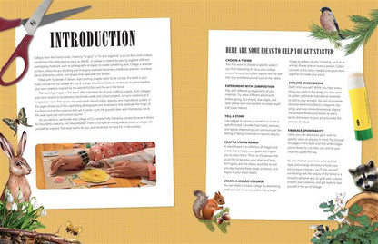 Cut &amp; Collage Woodland Creatures