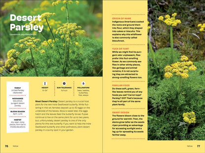 Wildflowers of the Pacific Northwest For Kids