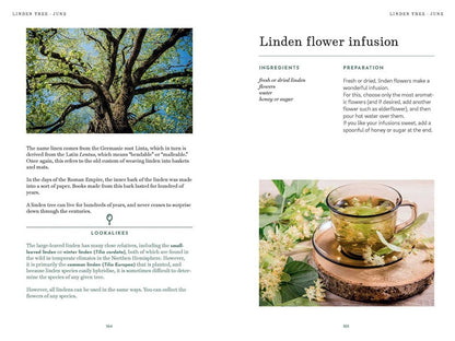 The Foraging Book
