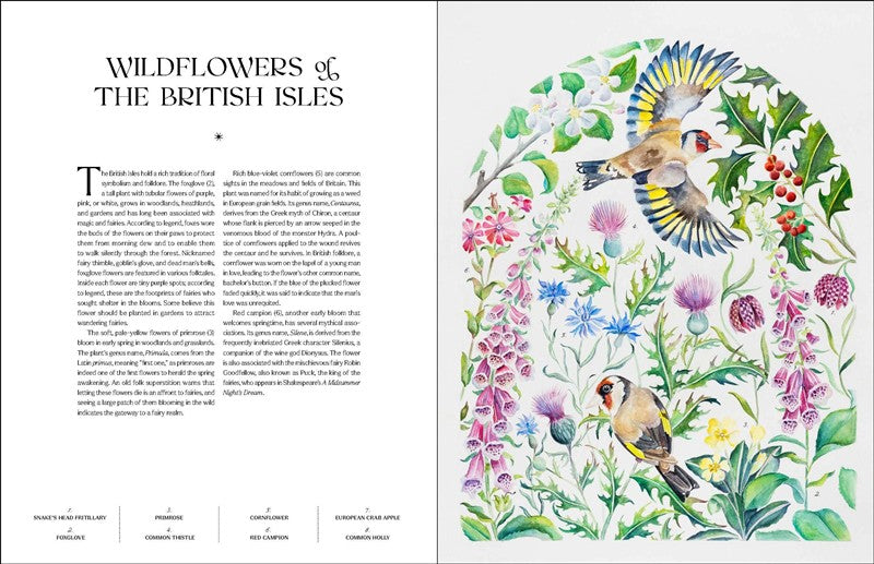 The Illuminated Book of Blooms