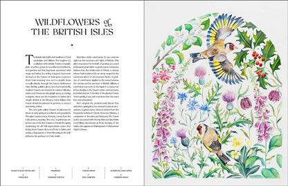 The Illuminated Book of Blooms
