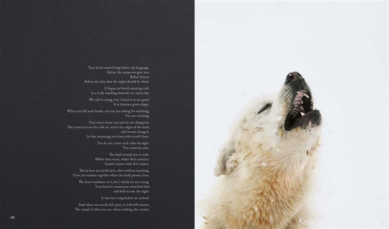Echoes of the Pack