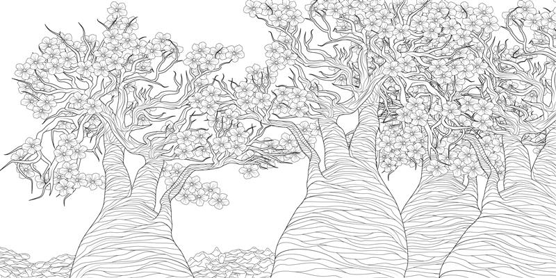 The Splendor of Trees Coloring Book