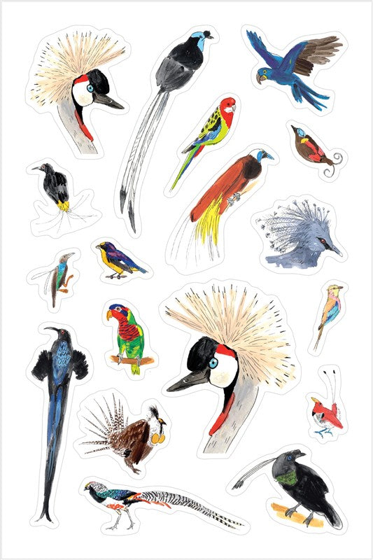 Bird Anatomy Sticker Book