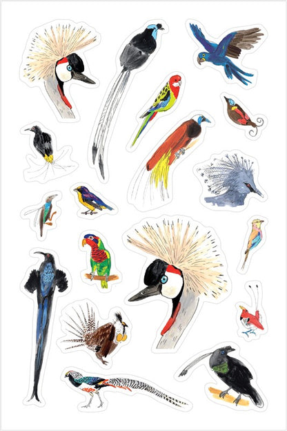 Bird Anatomy Sticker Book