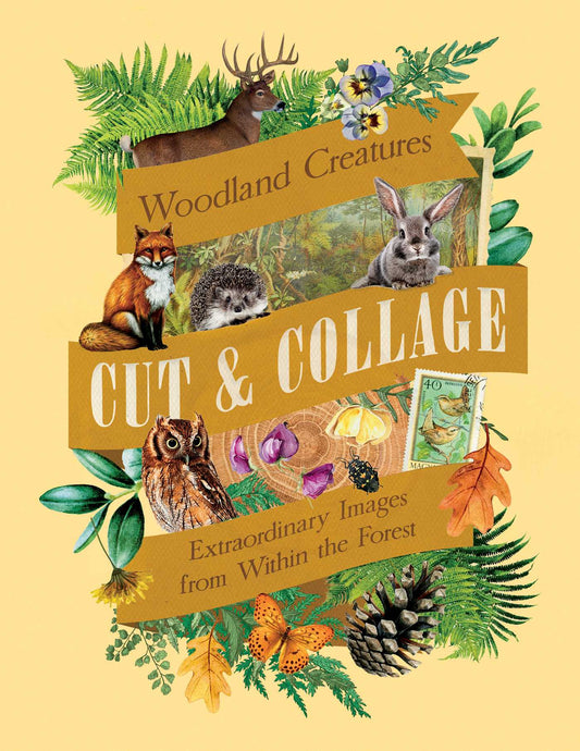 Cut &amp; Collage Woodland Creatures