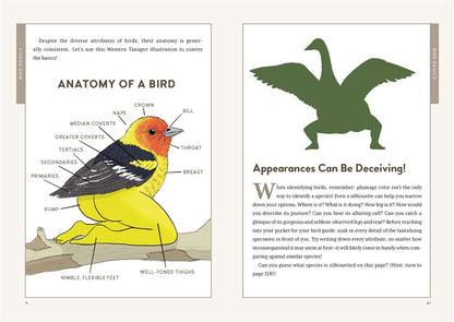 Extremely Accurate Birds