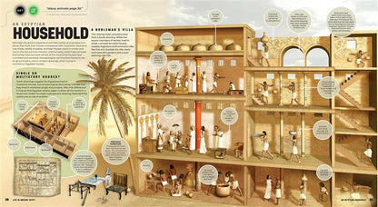 Discover: Ancient Egypt (Ready Activated)