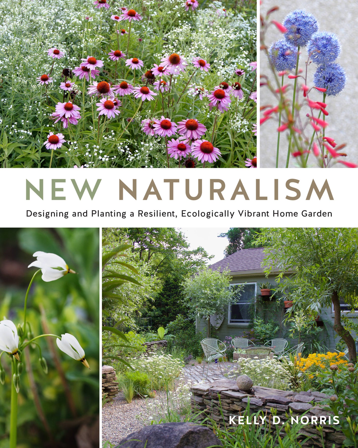 New Naturalism