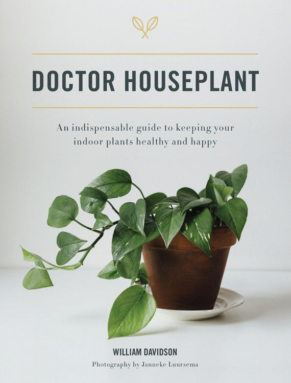 Doctor Houseplant