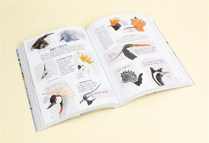 Bird Anatomy