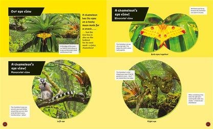 Eye View: Jungle Animals