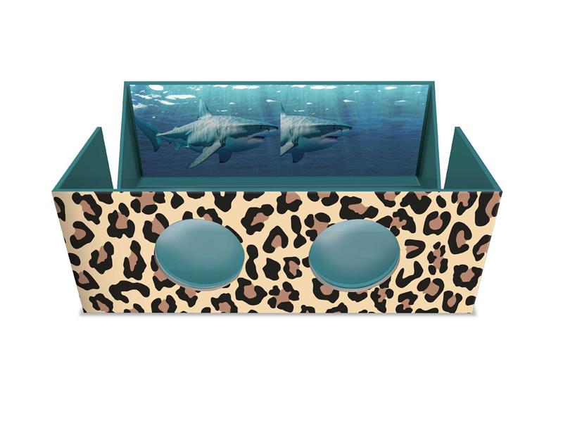 The Magnificent Box of Endangered Animals