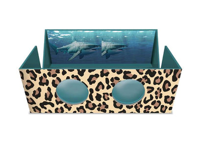 The Magnificent Box of Endangered Animals