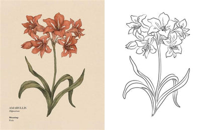 Floriography Coloring Book