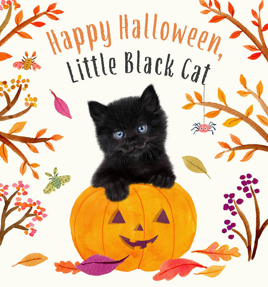 Joyeux Halloween, petit chat noir