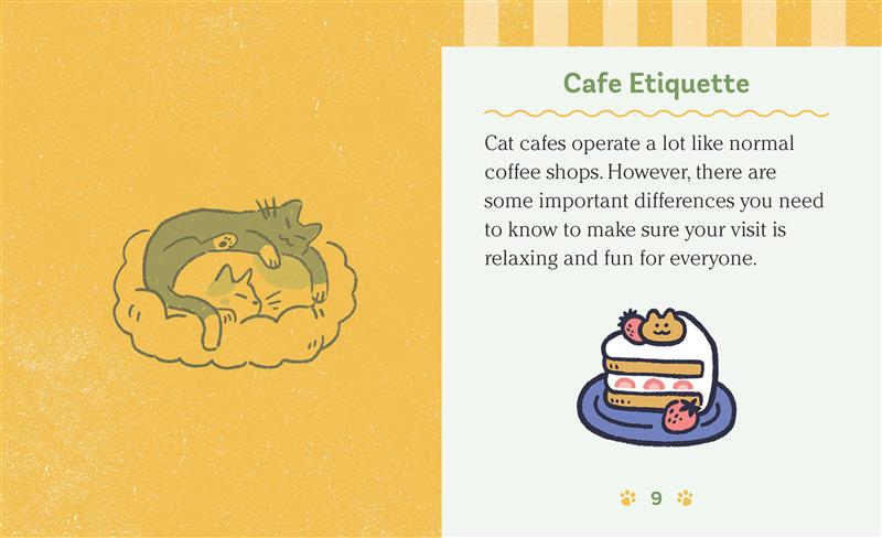 Cat Cafe Magnet Set