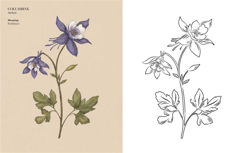 Floriography Coloring Book