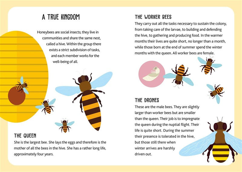 Eco Play: Bees
