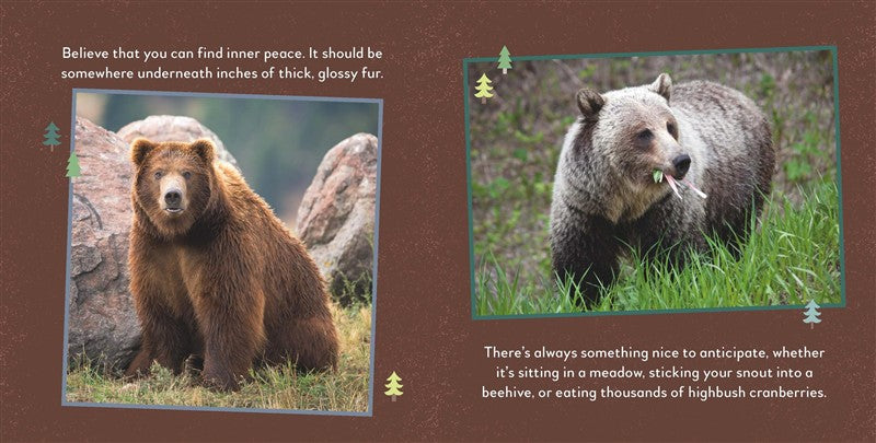 Fat Bear Self-Care