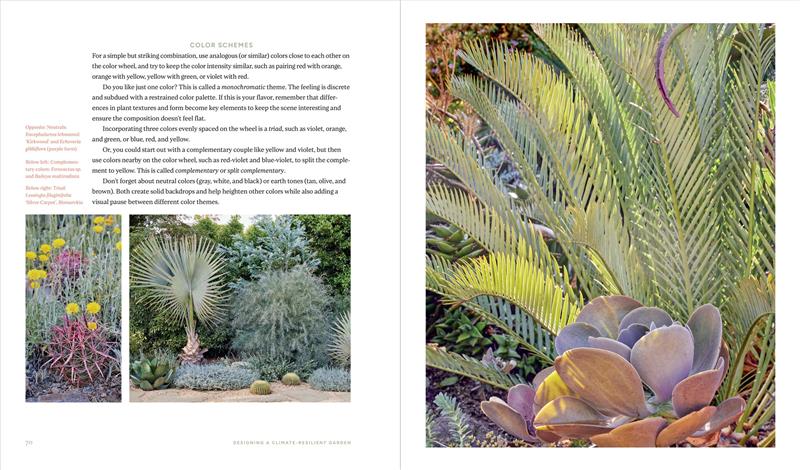 Designing the Lush Dry Garden