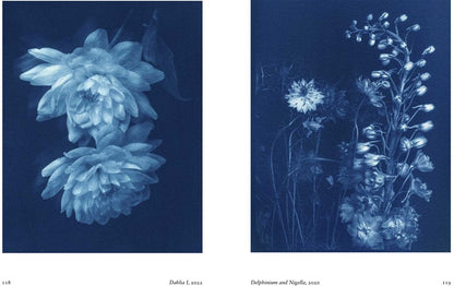 New Photography of the Flower.