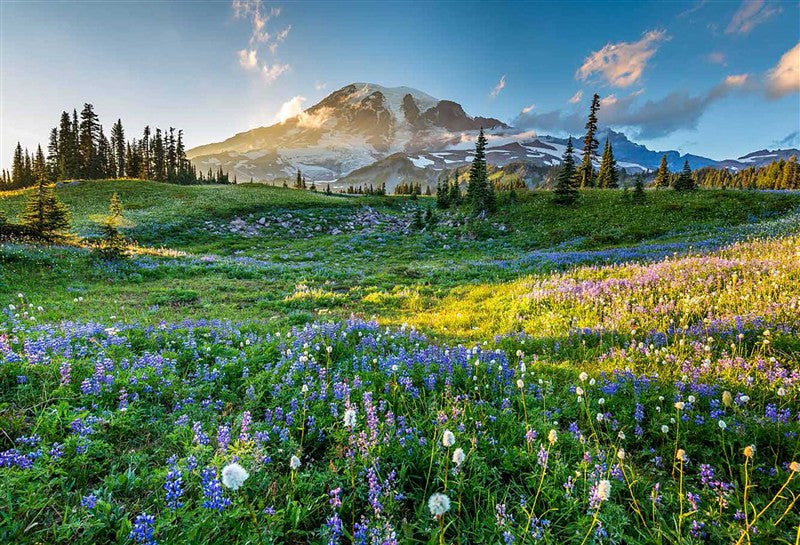 The Wildflower Travel Book