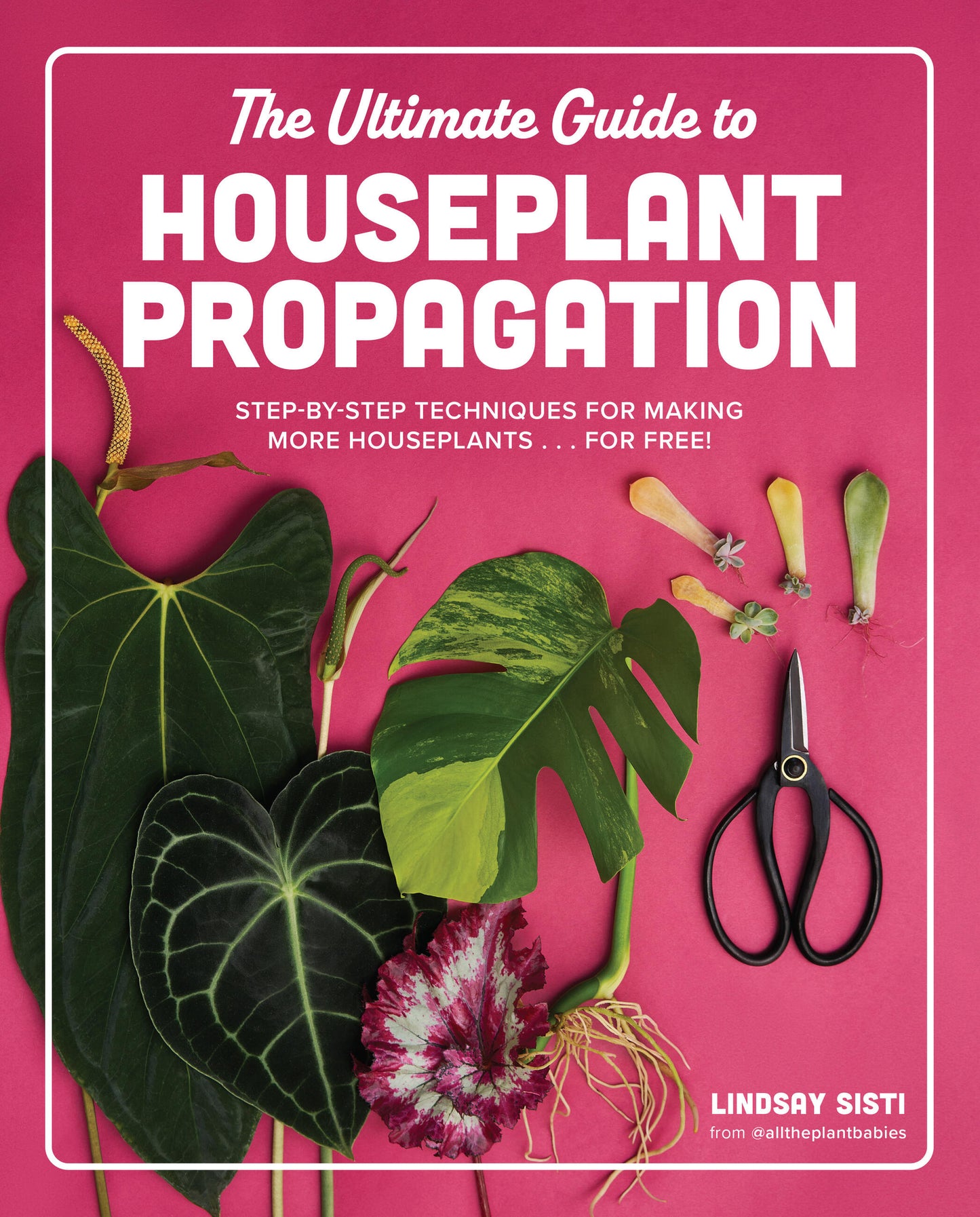 The Ultimate Guide to Houseplant Propagation