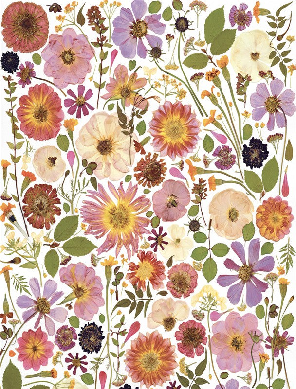 Beautiful Blooms Wrapping Paper Book