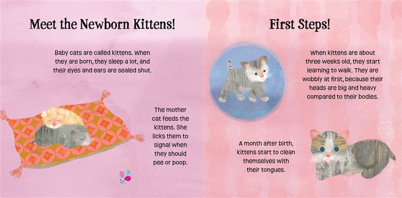 Kittens Know & Grow