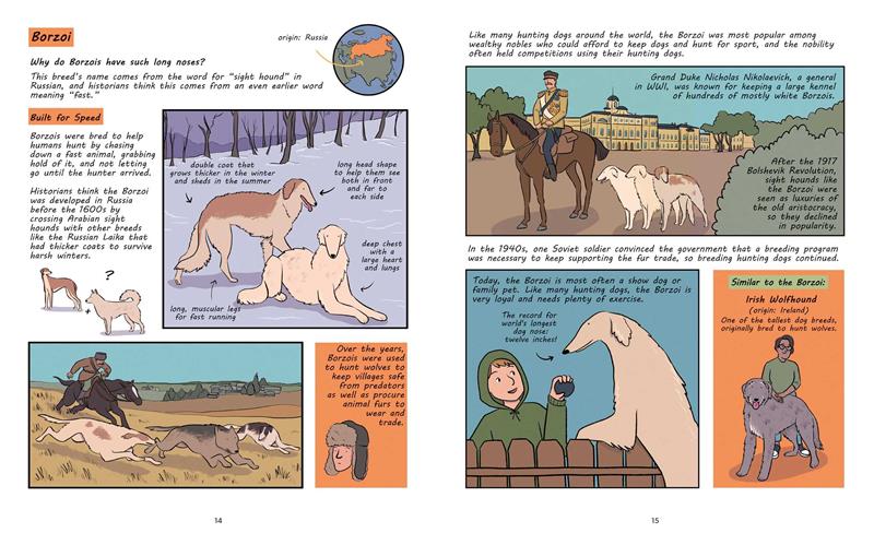 Why Are Dogs