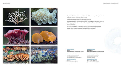 Planet Fungi