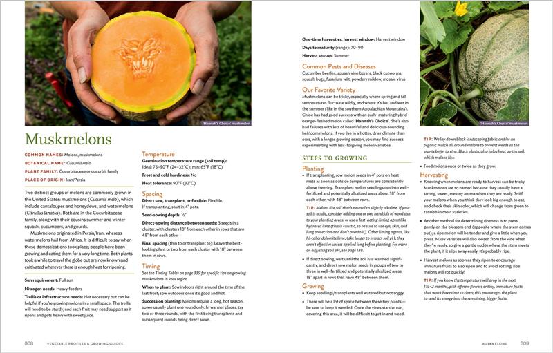 The New Natural Food Garden