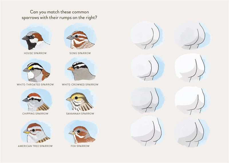 Extremely Accurate Birds