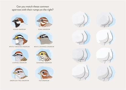 Extremely Accurate Birds