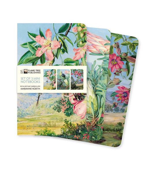 Coffret de 3 mini-cahiers Marianne North des jardins de Kew