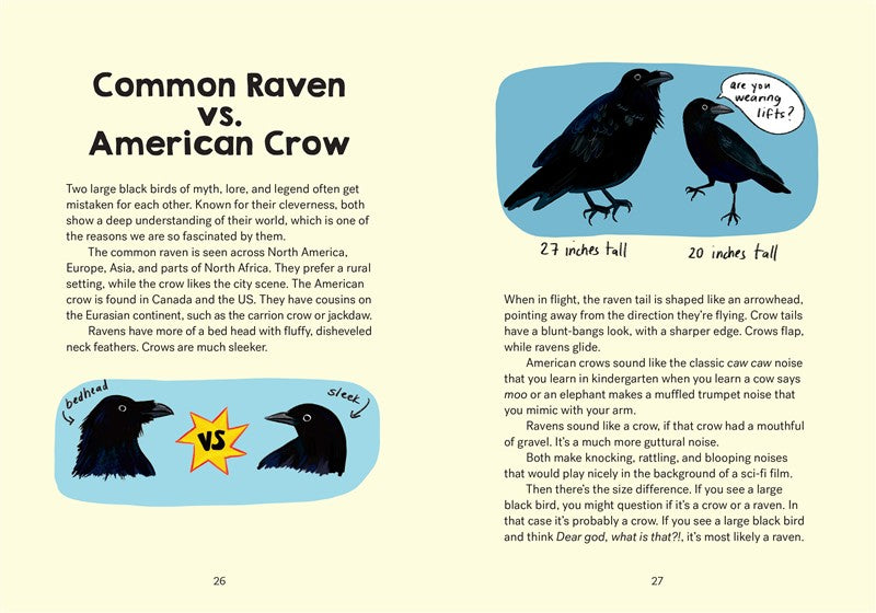 Bird Talk