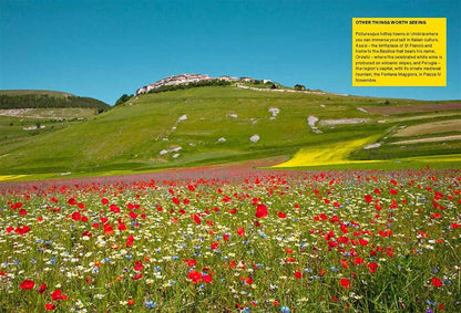 The Wildflower Travel Book