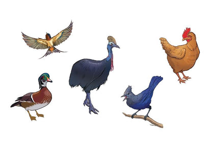 Soaring, Singing Tattoo Birds