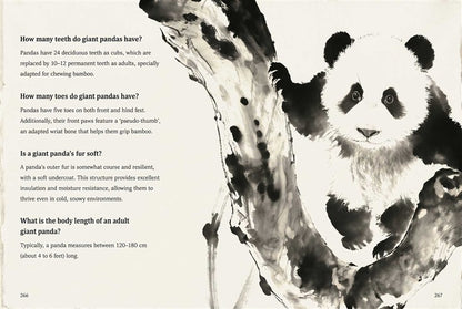 Giant Panda