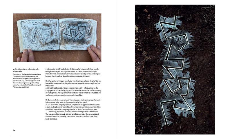 Andy Goldsworthy