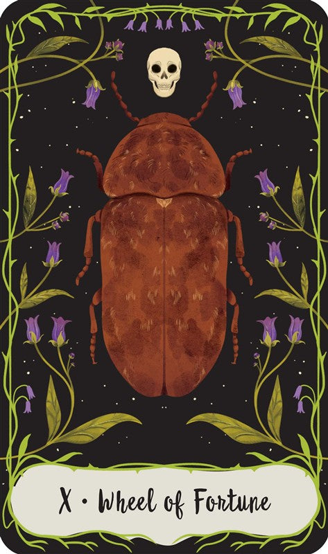Practical Magic: The Motion Picture: The Official Tarot Deck and Guidebook